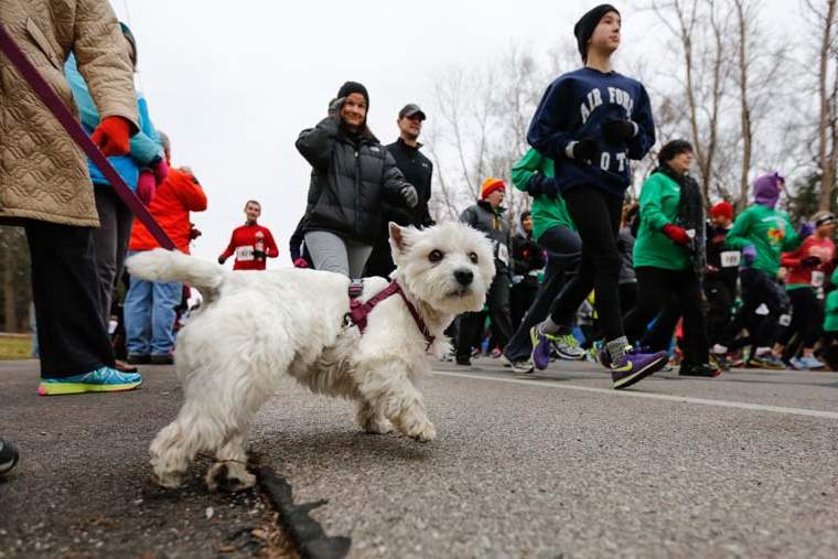 CTY-turkeyrun27-terrier