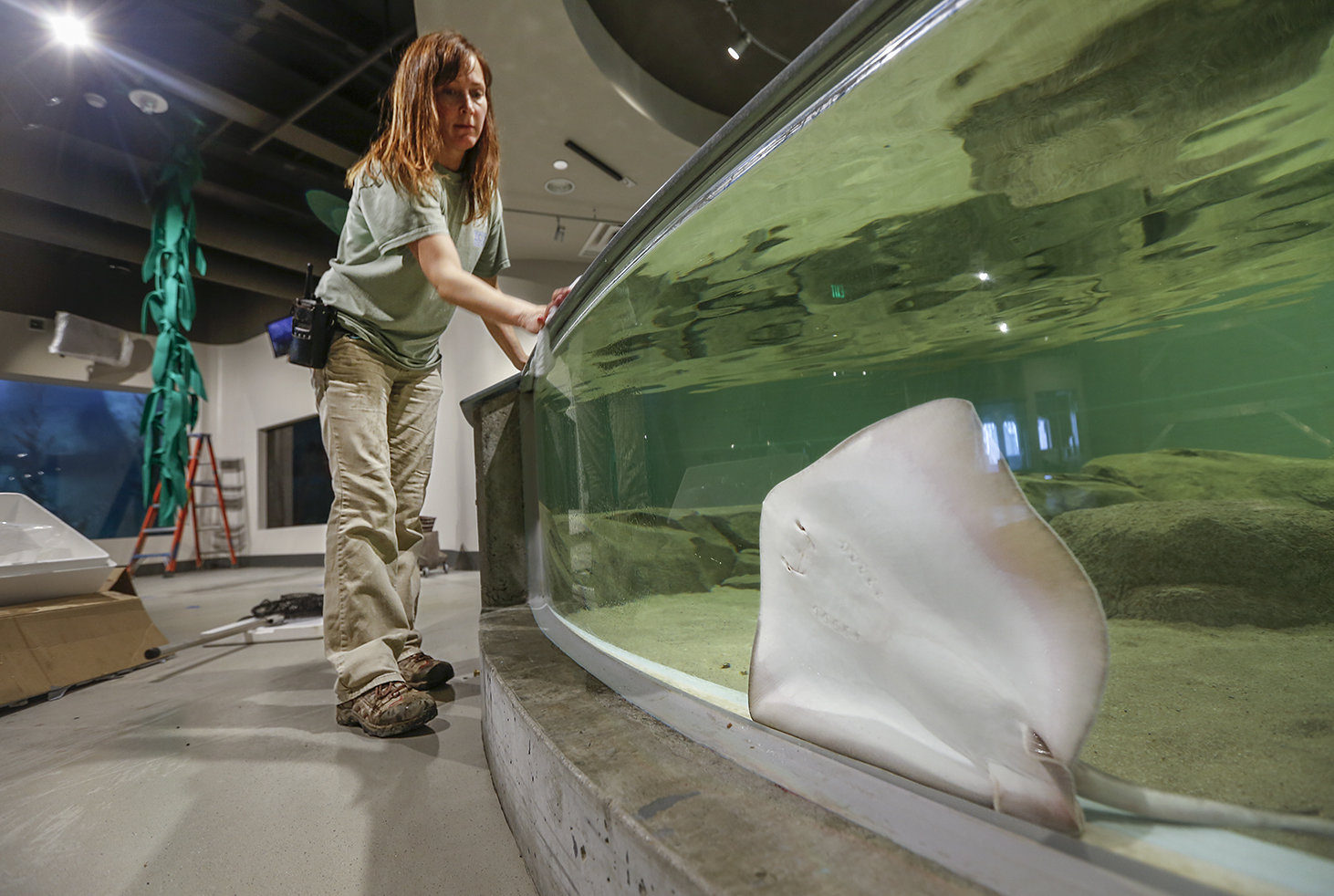 Historic Toledo Zoo aquarium reopening after major overhaul - The Blade