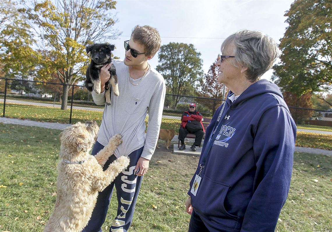 Dog park sparks numbers for nonprofit | The Blade