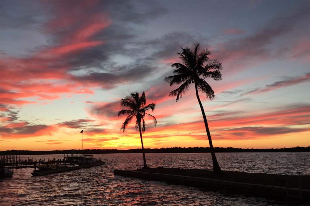 FLA-sunset-jpg-palm-tree