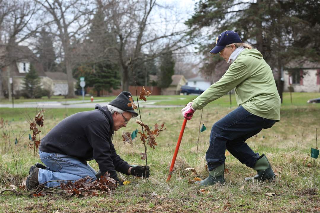 CTY-trees21pctyVolunteers-Claude-Krempa-of-Maum