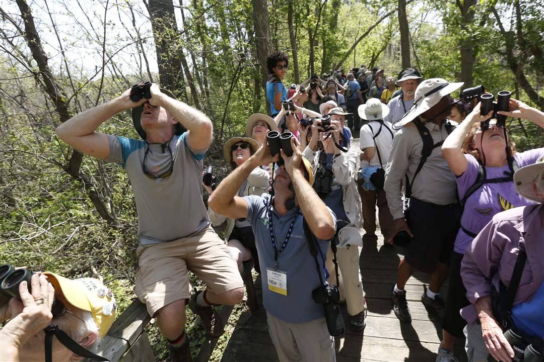 SPT-BIRDS9p-Biggest-Week-in-American-Birding