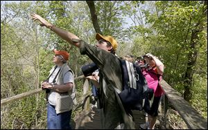 Dylan Vasapolli, from South Africa, points out a bird to Nancy Pounds, left, of Medina, Ohio, during a Biggest Week in American Birding event at Magee Marsh. Ten days of walks and programs continue through May 17. 