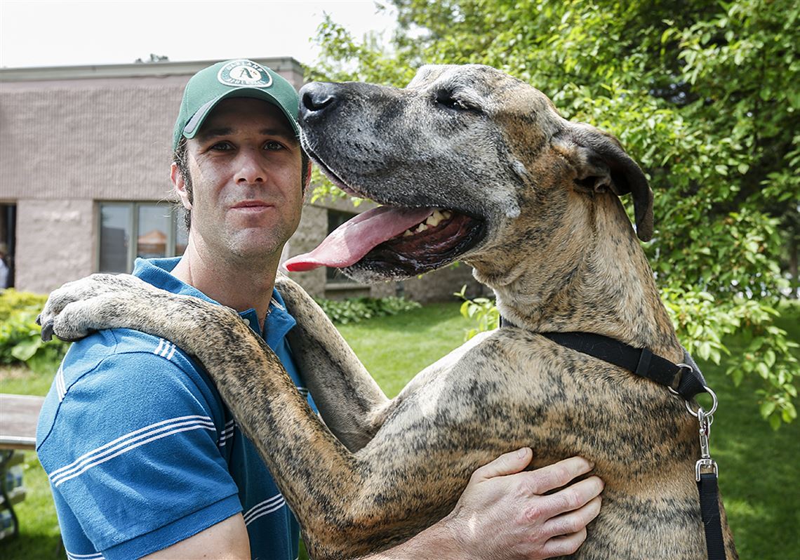 Bark in the Park - Michigan Humane