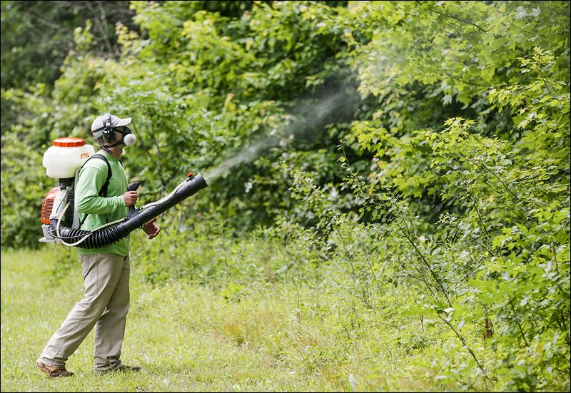 Quest to control mosquitoes helps spur seasonal business - Toledo Blade