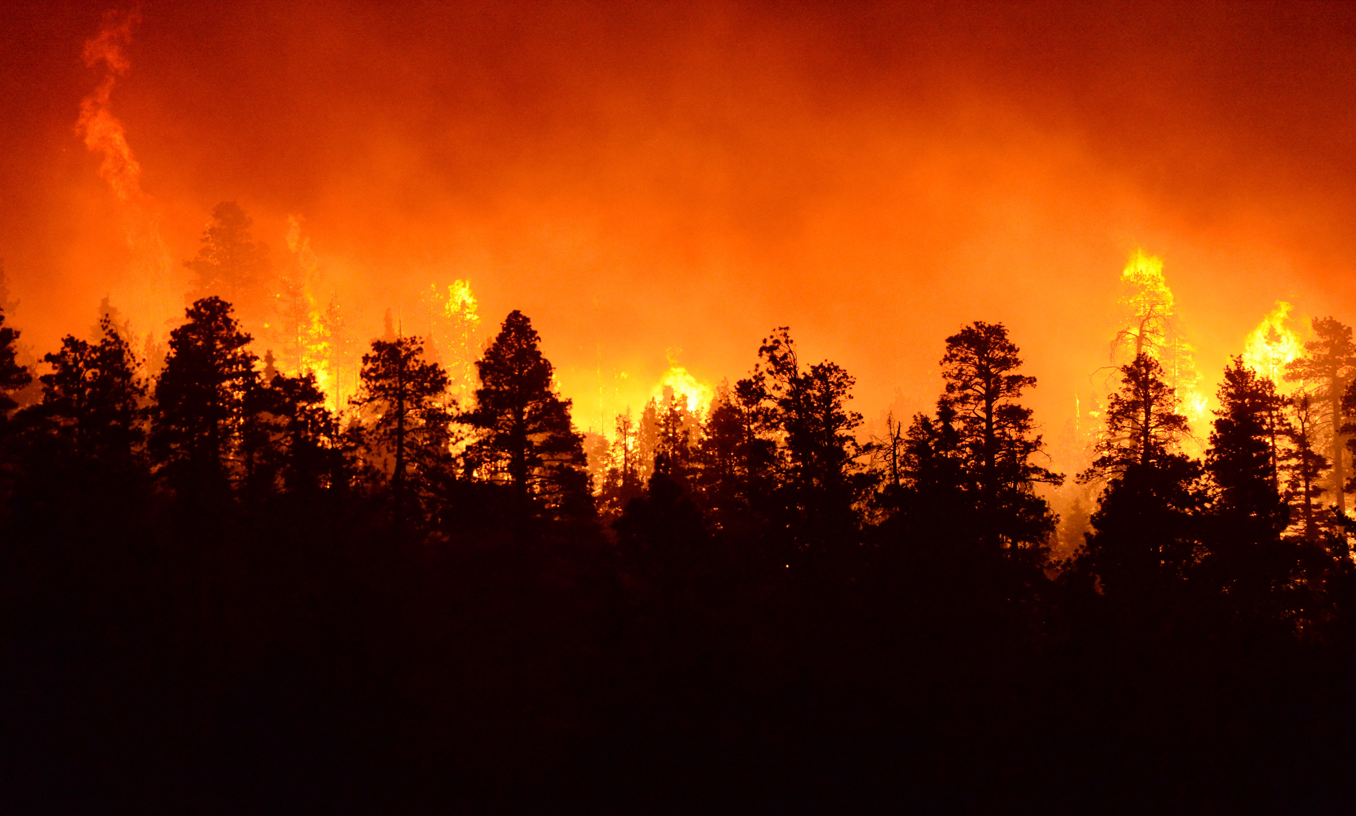 California forest fire explodes in size to 12 square miles after ...