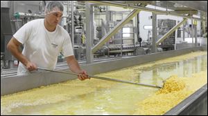 Joseph Prange separates curds and whey in the cheddaring process at the Henning's Wisconsin Cheese.