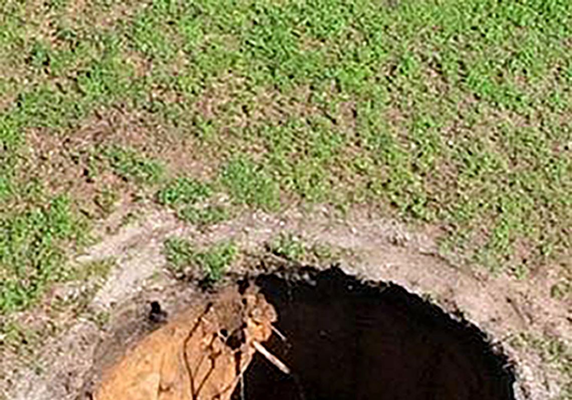 A new hole. Флорида 2013 год воронка.