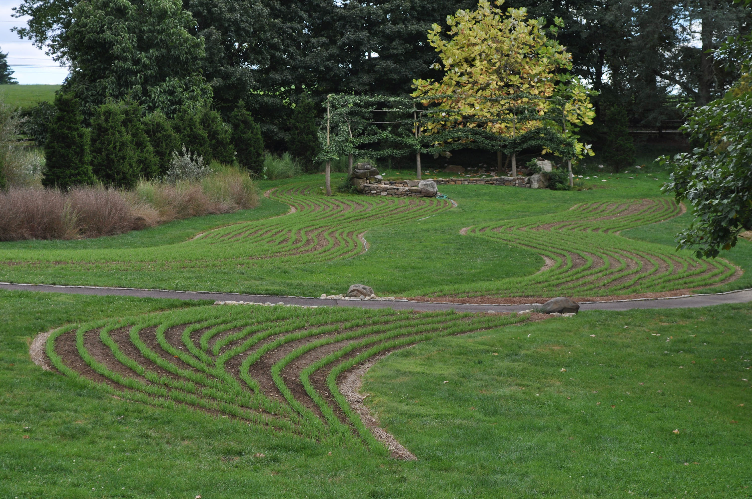 cover-crops-help-add-nutrients-to-the-soil-for-the-long-haul-the-blade