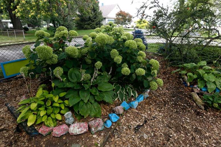 FEA-wiarmarcia17p-Hydrangeas-and-colored-rocks