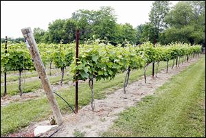 At the end of September, Ohio had 233 licensed wineries, and 15 within 60 miles of Toledo.