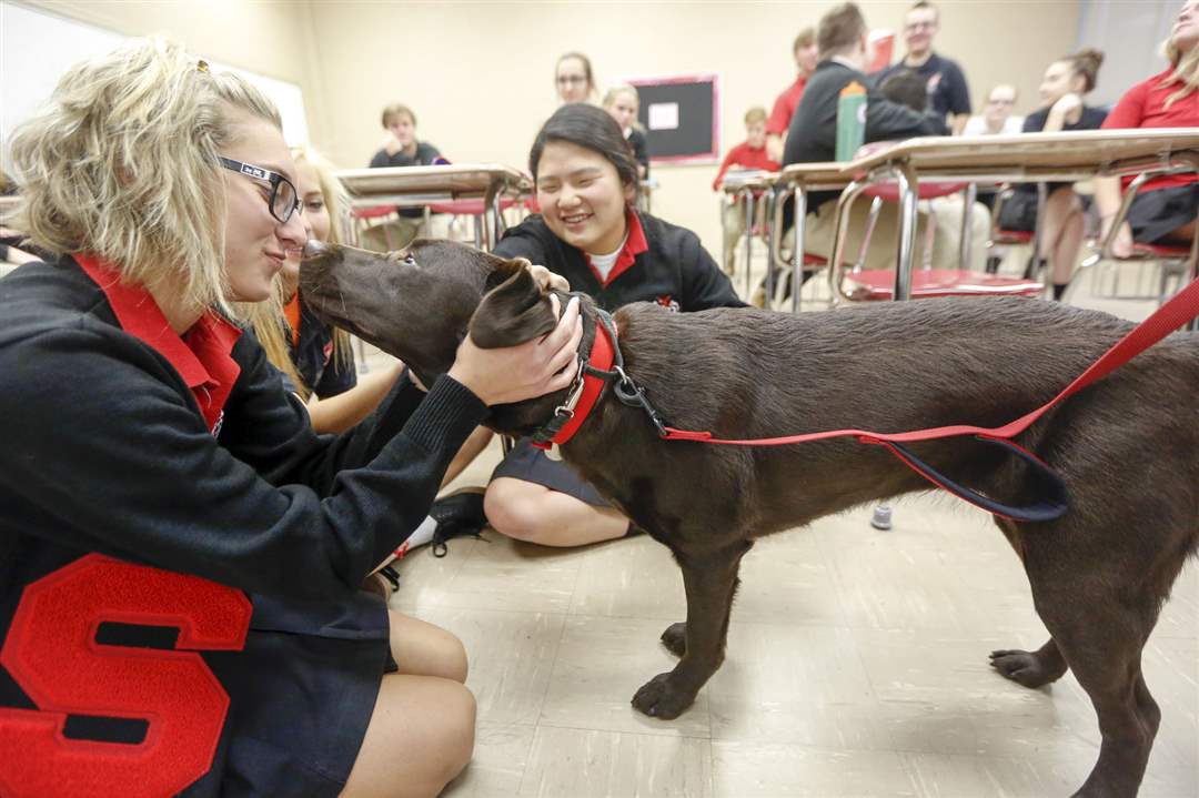 CTY-therapy17Abbie-Reichert-a-senior-at-Cardinal-Str