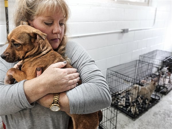 Area gets dozens of rescue animals | The Blade