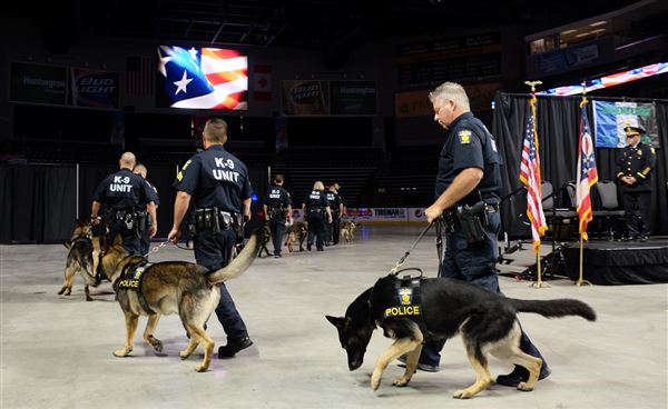 Toledo police dogs to get protective vests - The Blade