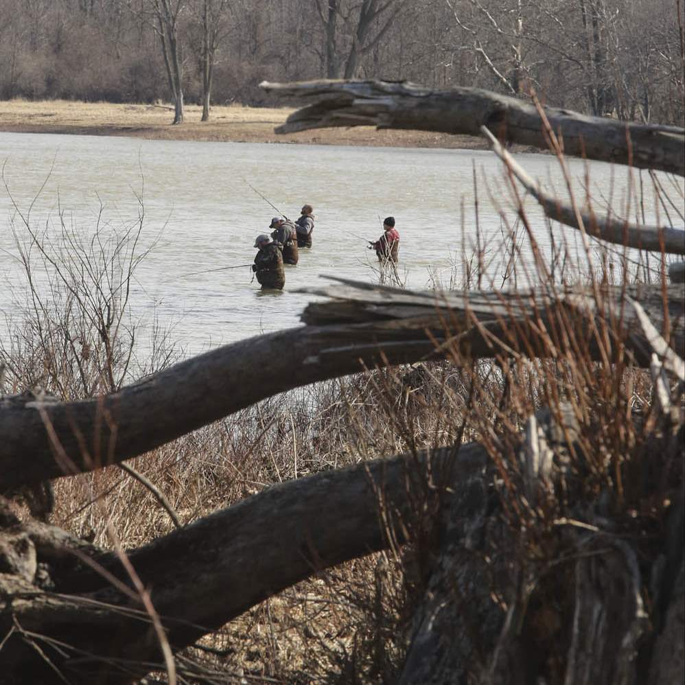 CTY-walleye-runButtonwood