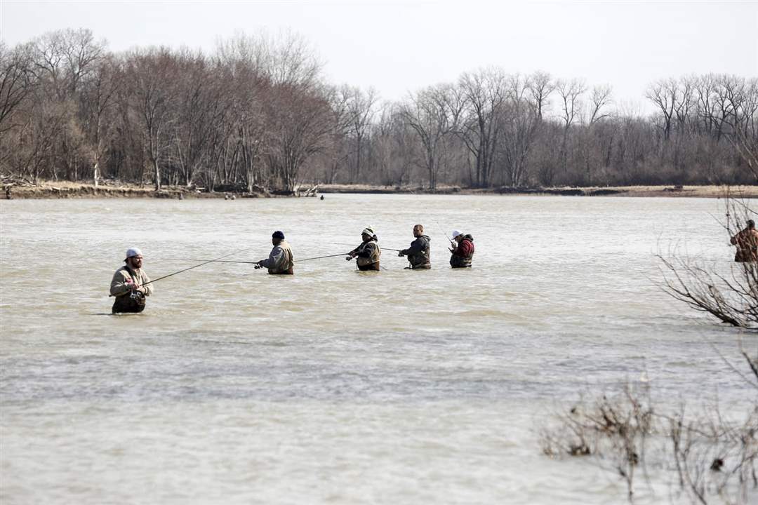 CTY-walleye-run