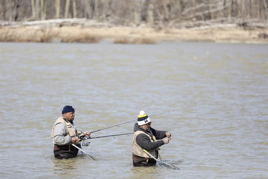 CTY-walleye-runEllis