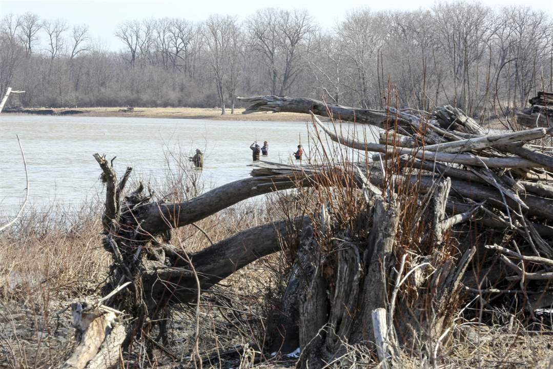 CTY-walleye-runPark