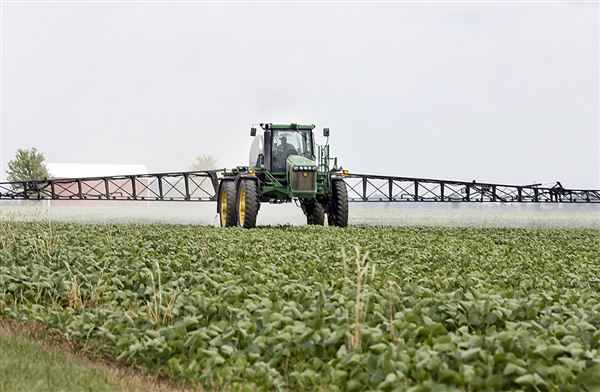 Ohio lagging behind expected record U.S. corn, soybean crops - The Blade