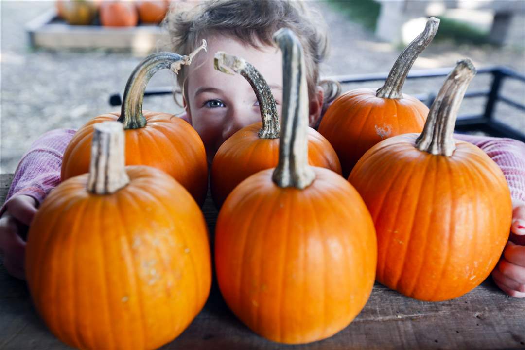 FEA-pumpkin-patch