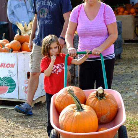 MAG-PUMPKINPATCH-Bob-and-Nichole-O-Brien