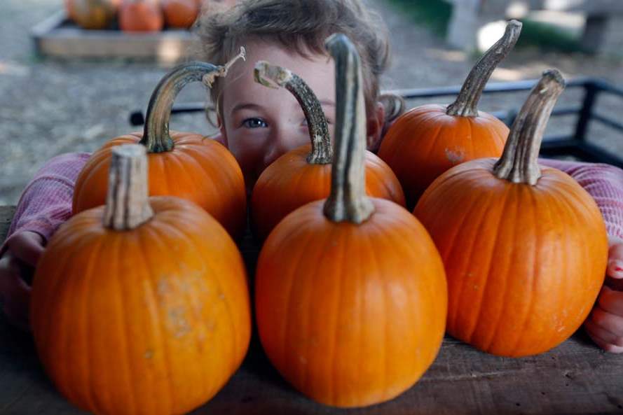 FEA-pumpkin-patch-Eowyn-Montgomery