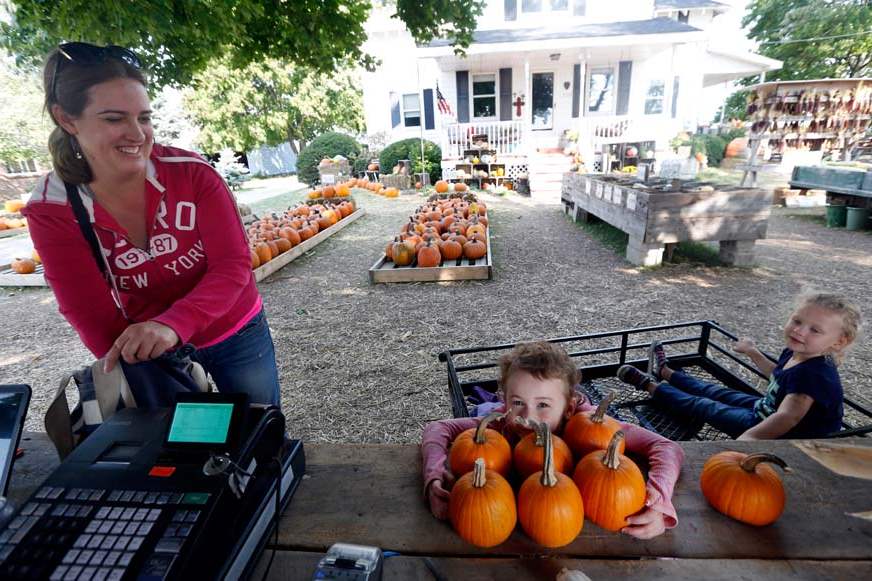 FEA-pumpkin-patch-Jen-Tucker