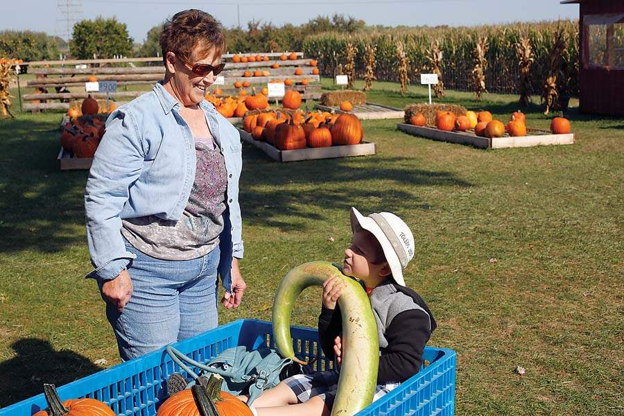 FEA-pumpkin-patch-Susann-Mahnen