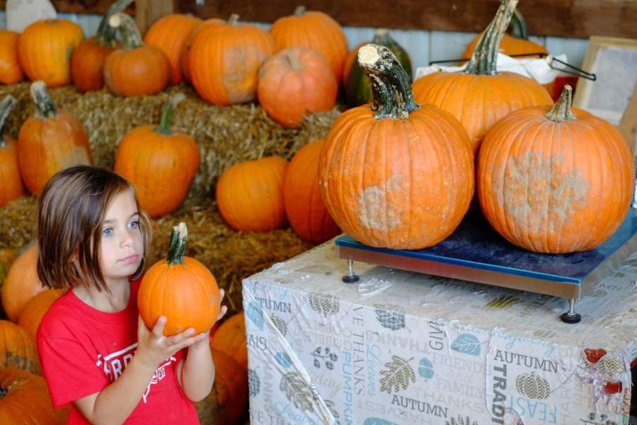 MAG-PUMPKINPATCH-liah-o-brien