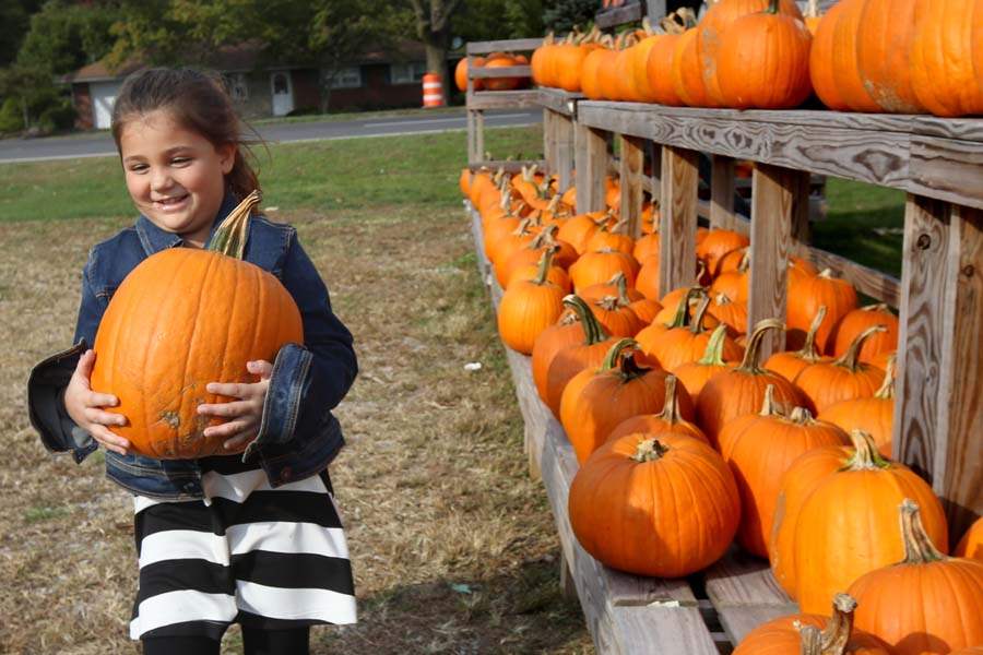 PUMPKINPATCH-Ciara-Hermiz