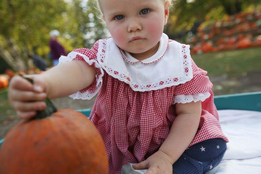 PUMPKINPATCH-Susan-Haddock-and-granddaughter-june