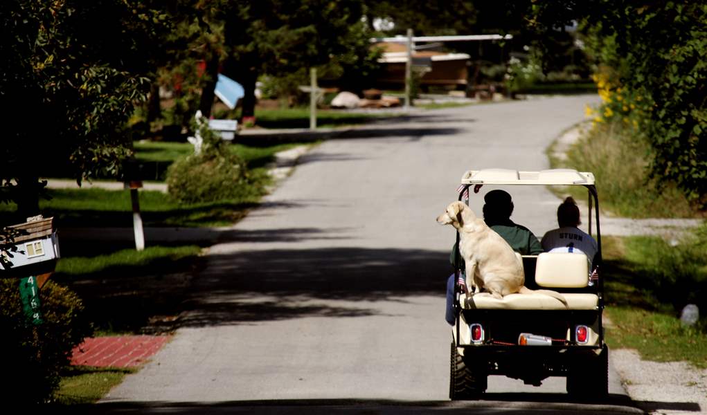 golf-cart