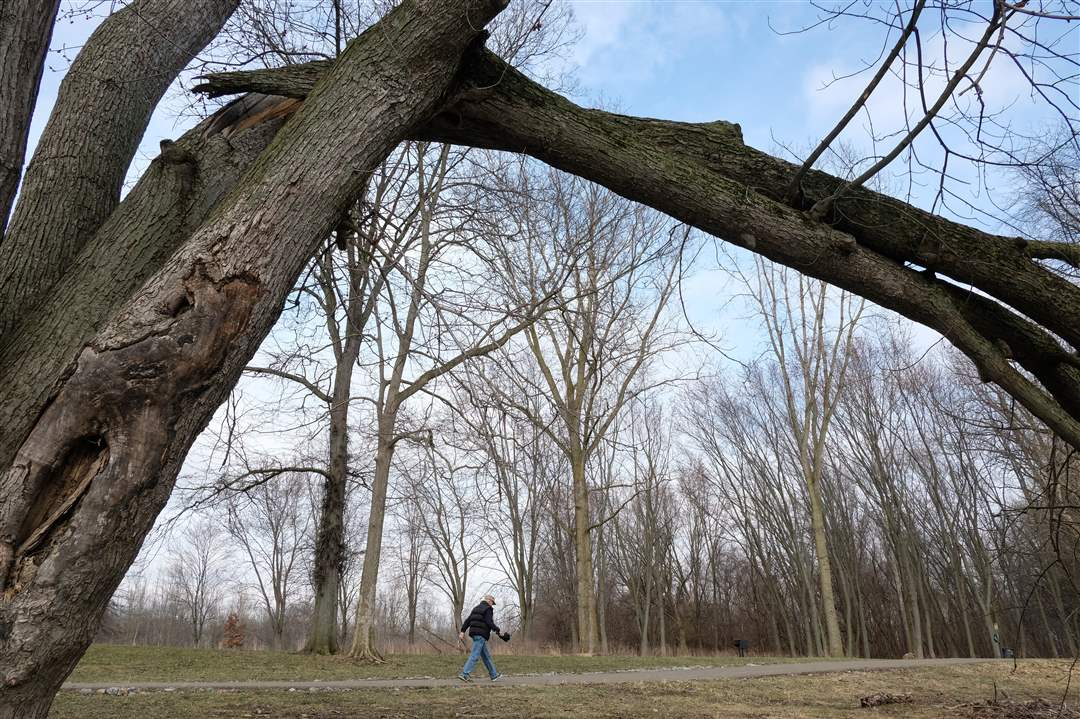 Side-Cut-Metropark-2-28