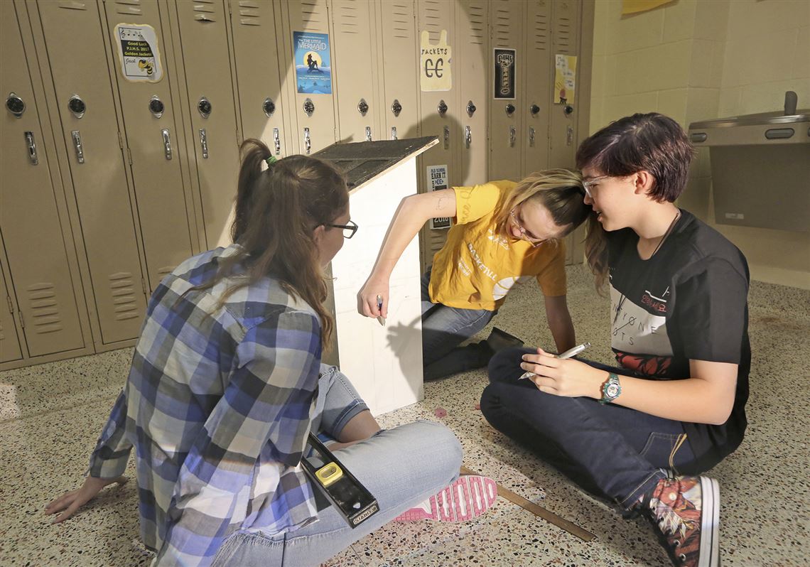 Perrysburg Students Build Little Free Pantries Toledo Blade