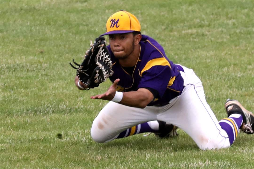 SPT-D2baseballRegFinal27Brown