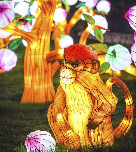 Lanterns to brighten Toledo Zoo at fall events The Blade