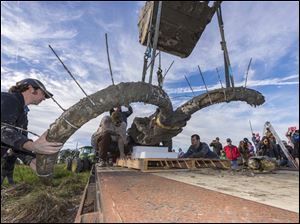 University of Michigan Museum of Paleontology collections manager Adam Rountrey (left), Earth and Environmental Sciences undergraduate David Vander Weele (center) and paleontology Ph. D. candidate Michael Cherney (right) help guide the Mammoth skull and tusks as they are lowered onto a flatbed trailer.