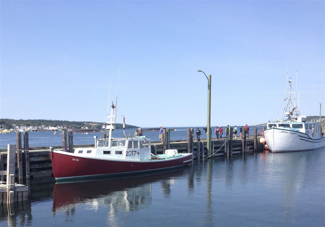 Cape Cod diversity of fishing opportunities — Sports Port