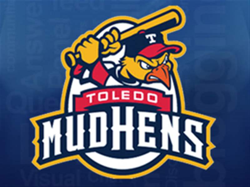 Fowl ball: Toledo Zoo acquires real-life mud hen - The Blade