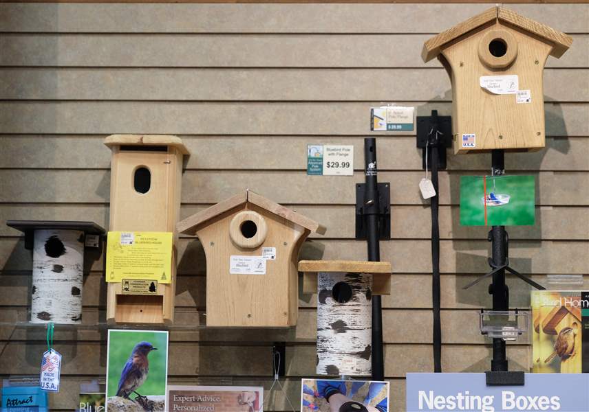 Making a birdhouse a home: What to know to attract friends in flight