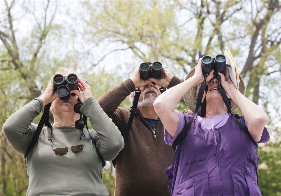 Birders Flock To Northwest Ohio For Biggest Week Toledo Blade - 