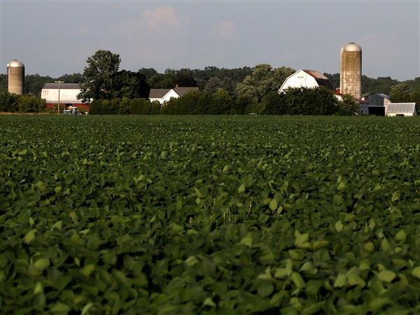 Planting seeds for Ohio farmers | The Blade