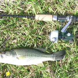 Young angler a natural at teaching other kids how to fish