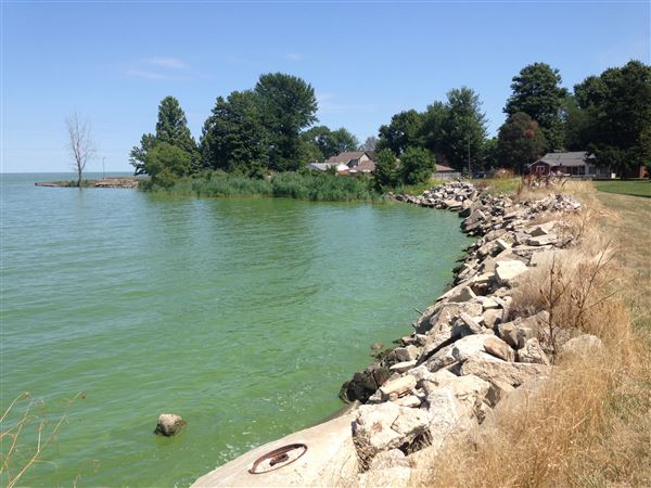 State issues first algae advisory of 2024 at Maumee Bay State Park
