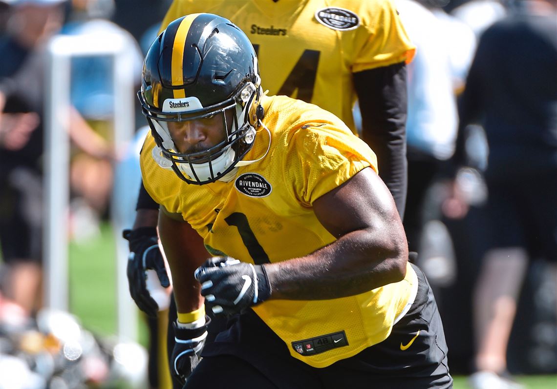 Michigan rookie Bush impresses in debut with Steelers