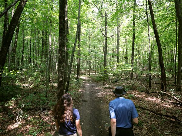 Metroparks poised to seek 1.4-mill replacement levy this fall