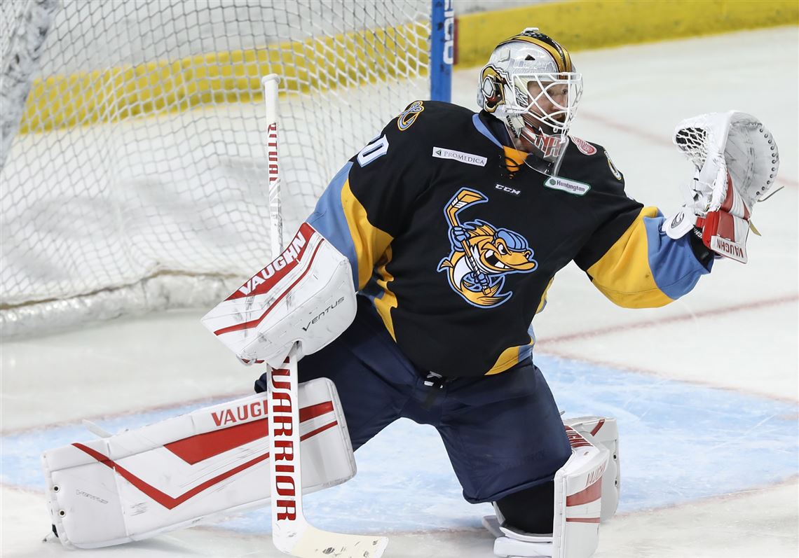 Walleye Watch Toledo hosts Florida in home opener on Saturday The Blade