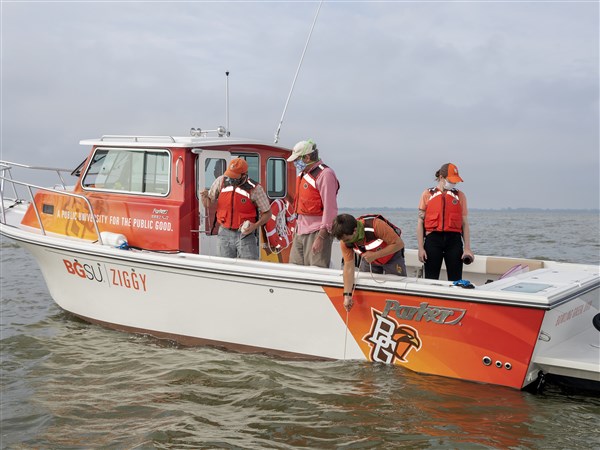 BGSU researchers tackle the scourge of algal blooms - Toledo Blade