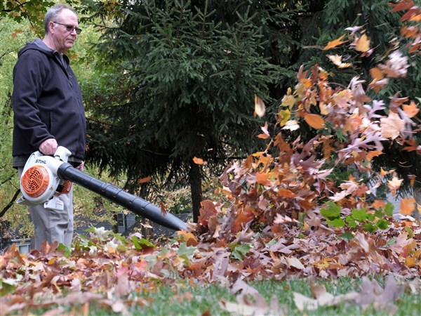 Leaf pickup to begin soon in Toledo | The Blade