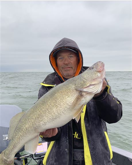 Trolling Bandits and Perfect 10s for Hog Walleye on Lake Erie 